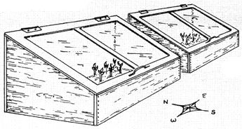 
Cold frames made from old basement windows provide a safe place to sprout seeds when you start to grow vegetables. 
